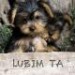lubim ta.jpg